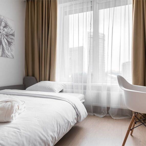 Студия (Ботаника). Фото 2