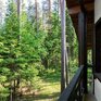  Курорт Лесная Рапсодия - Превью 6