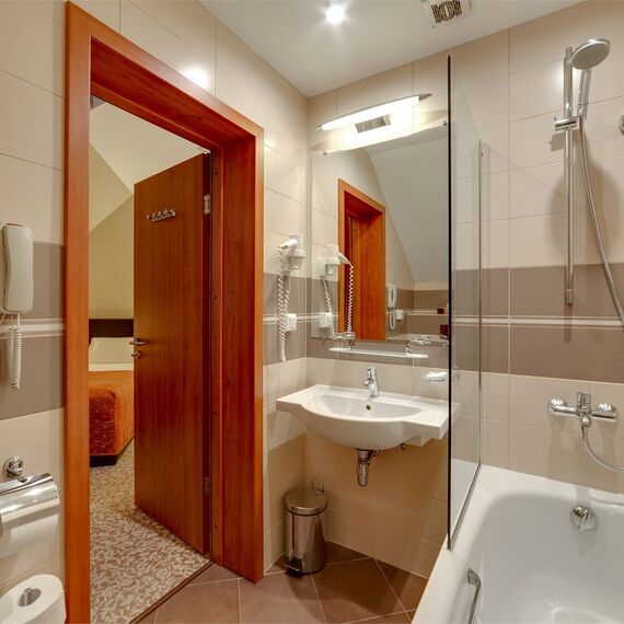 Стандарт мансардный с двуспальной кроватью. Фото 3