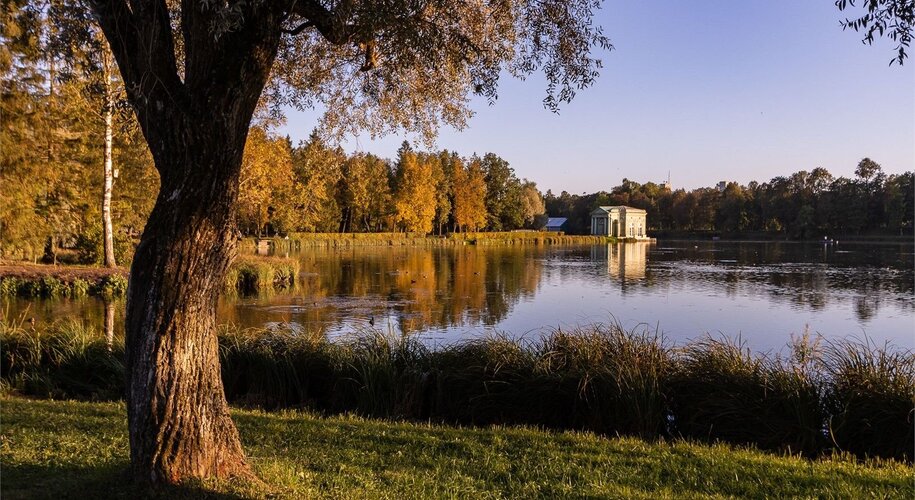 Golden Hotel - Фото 15