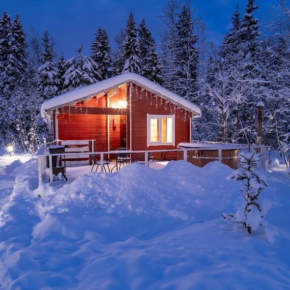 ДОМ РОМАНТИКА С КУПЕЛЬЮ НА ДРОВАХ. Фото 14