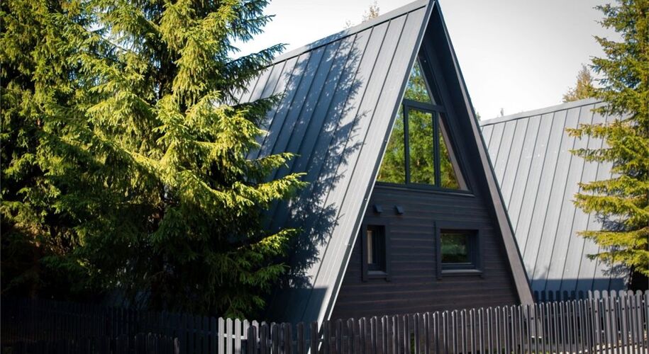Гостевые дома ЁLKI Черемыкино A-frame - Фото 4