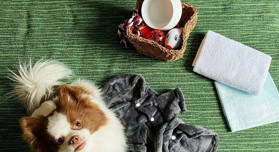 Калейдоскоп на Итальянской - Фото 14