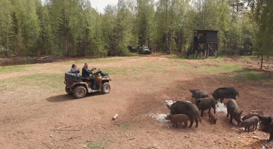 Медвежья гора - Фото 54