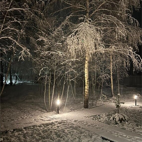 ул. Берёзовая роща дом 7. Фото 2