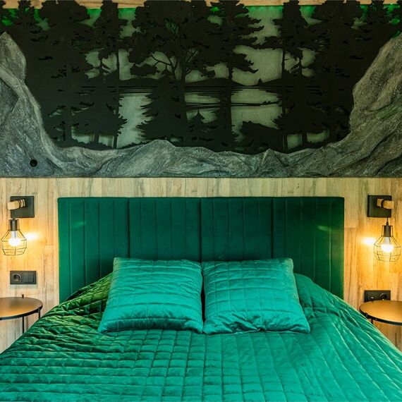 Купол «Карельский лес». Фото 5