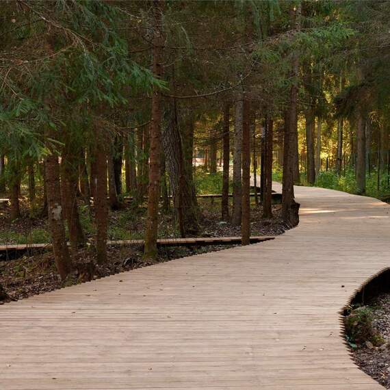 FOREST SCANDY ВИЛЛА С МАНГАЛЬНОЙ ЗОНОЙ. Фото 29