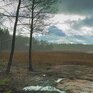 WhiteResort Поляны / Карелия - Превью 6