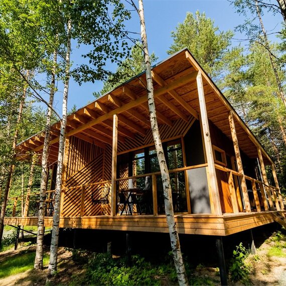 Номер «Березовая роща». Фото 2