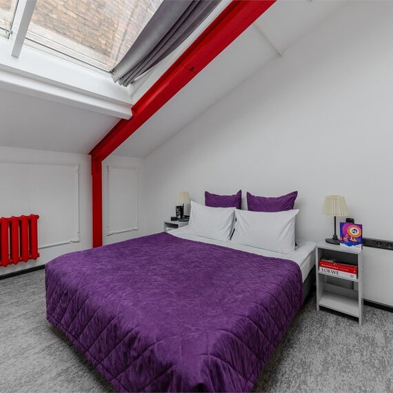 Номер с мансардным окном SKY LOFT. Фото 2