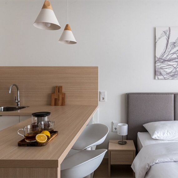 Стандарт с раздельными кроватями (Ботаника). Фото 5