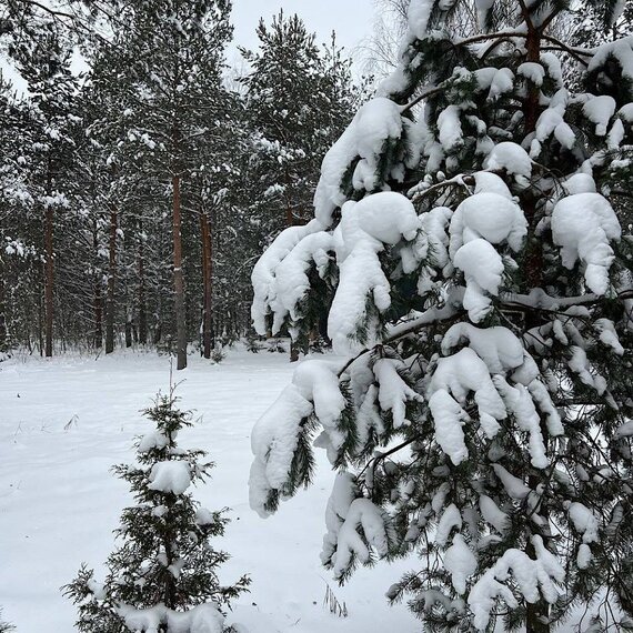 Glass Box 85. Фото 82