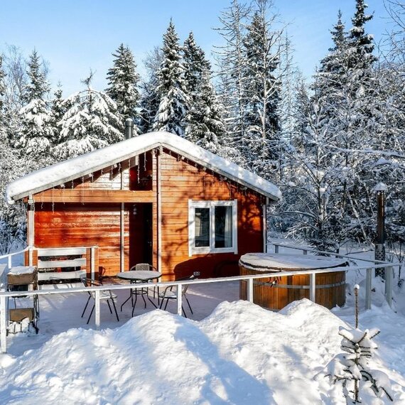 ДОМ РОМАНТИКА С КУПЕЛЬЮ НА ДРОВАХ. Фото 12