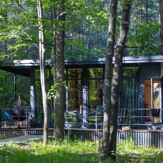 Бунгало в лесу СПА. Фото 5