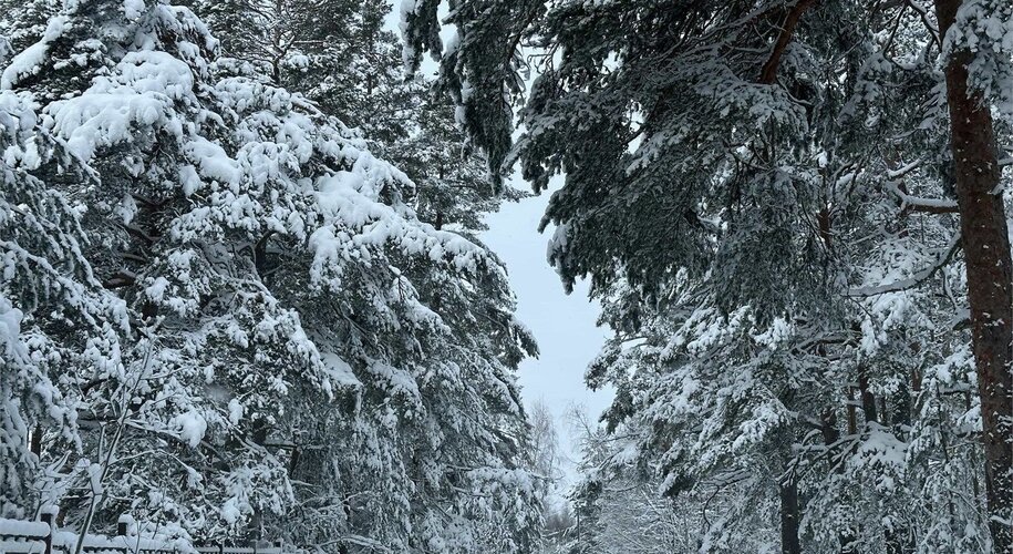 ЭкоPort на Отрадном - Фото 13