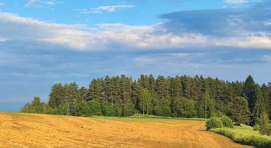  Лукино-Парк - Фото 16