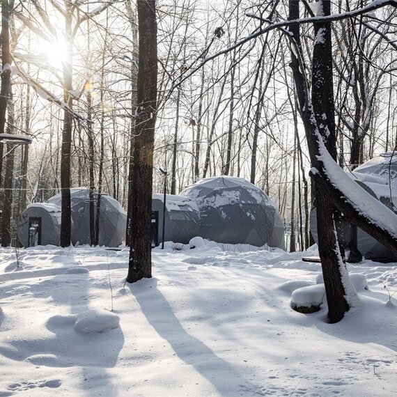 Геокупол лес. Фото 11