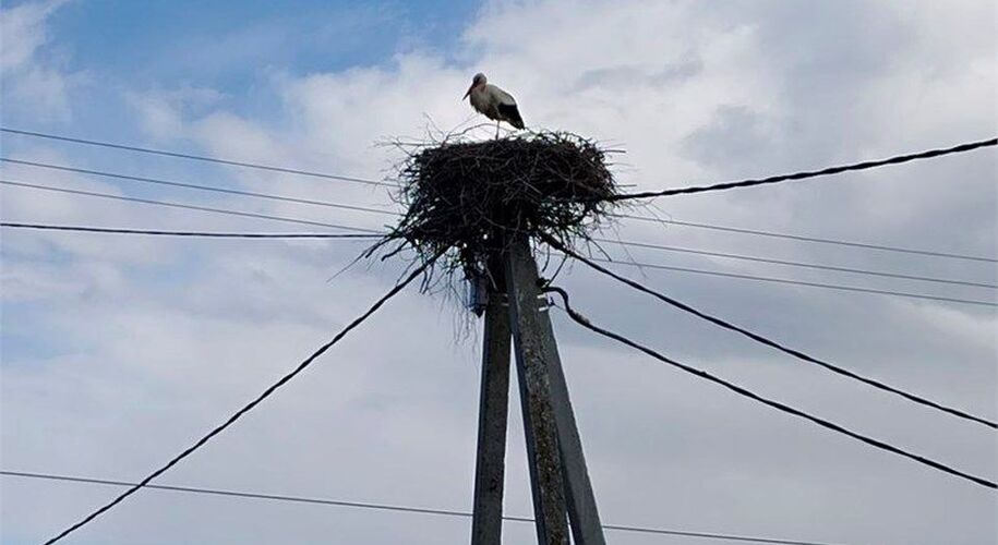  Глэмпинг парк КосмоСфера - Фото 13