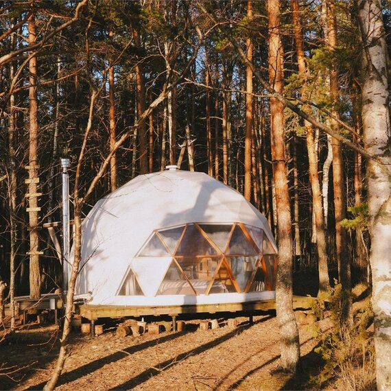 Геокупол с видом на лес. Фото 15