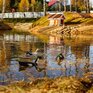 Агропарк Ясенево - Превью 59