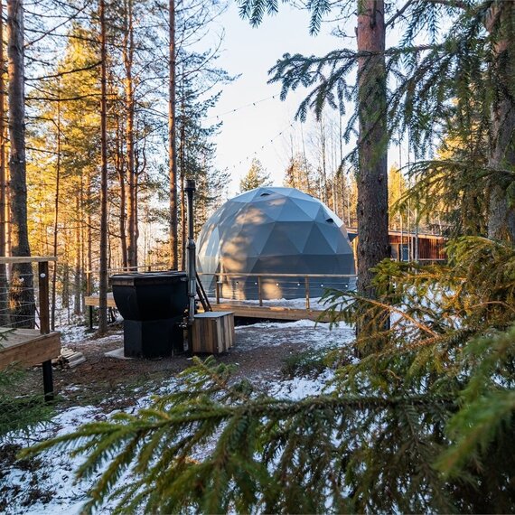 Купол «Карельский лес». Фото 45