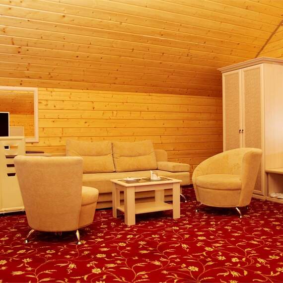 Люкс в Эко-Домике. Фото 8