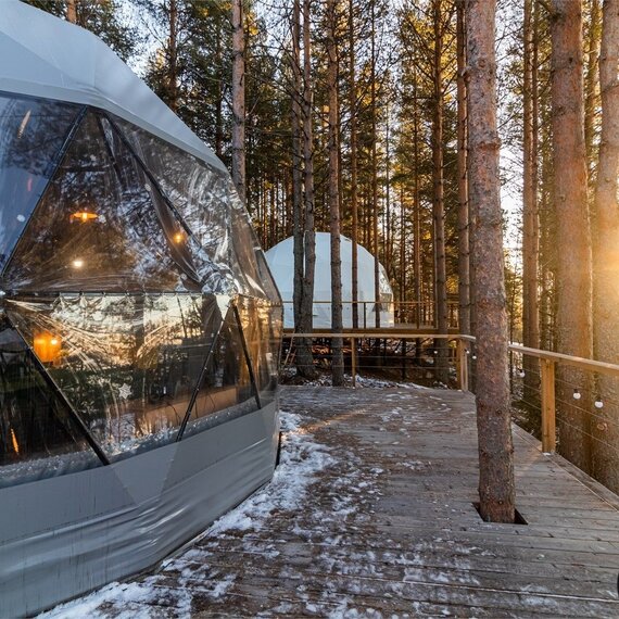 Купол «Карельский лес». Фото 28