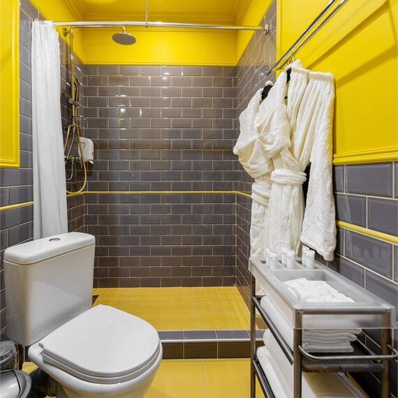 Номер с панорамными окнами SKY VIEW. Фото 19