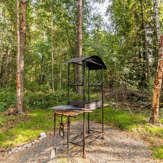 Купол «Карельский лес». Фото 28