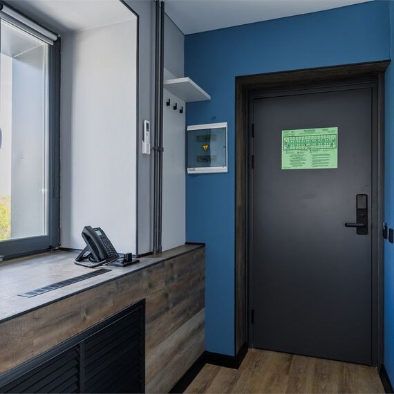 Стандарт с 1 двуспальным диваном. Фото 10