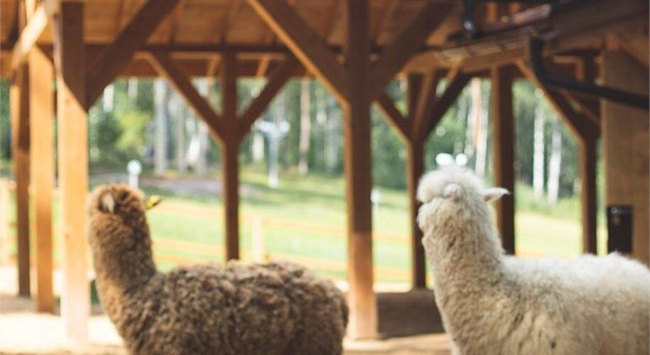 Семь озер - Фото 13