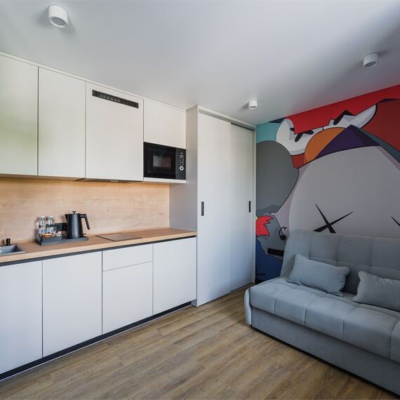 Стандарт с 1 двуспальным диваном. Фото 2