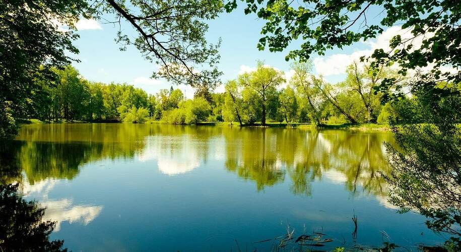  Амакс «Ершово» Звенигород - Фото 7