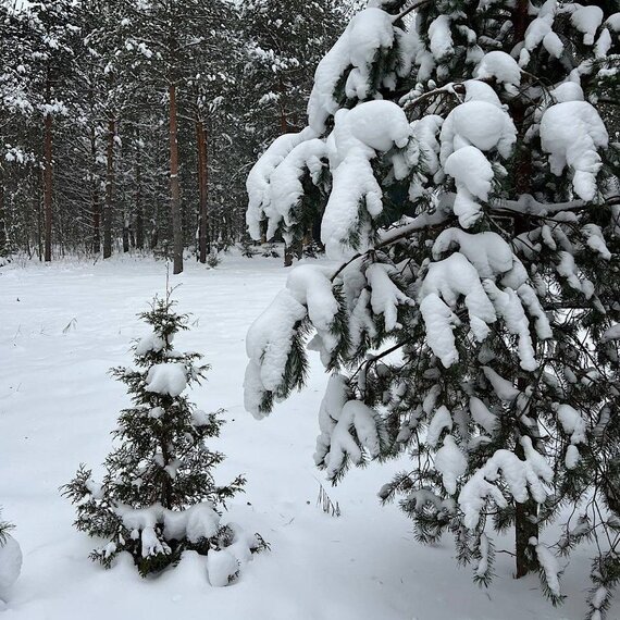 Lato-80 Sauna. Фото 76