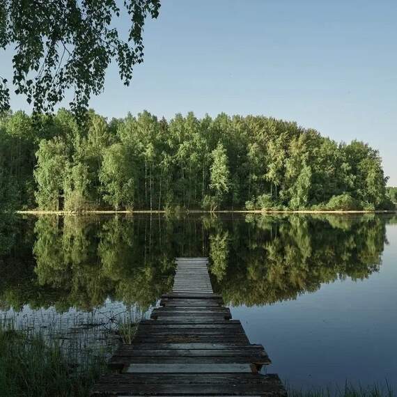 Эко Клуб 