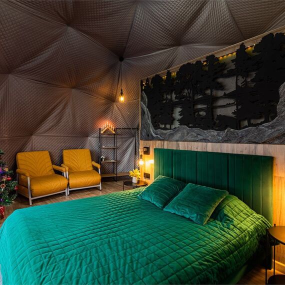 Купол «Карельский лес». Фото 33