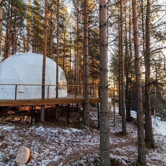 Купол «Петроглифы». Фото 70