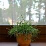 ВерескОтель - Превью 30