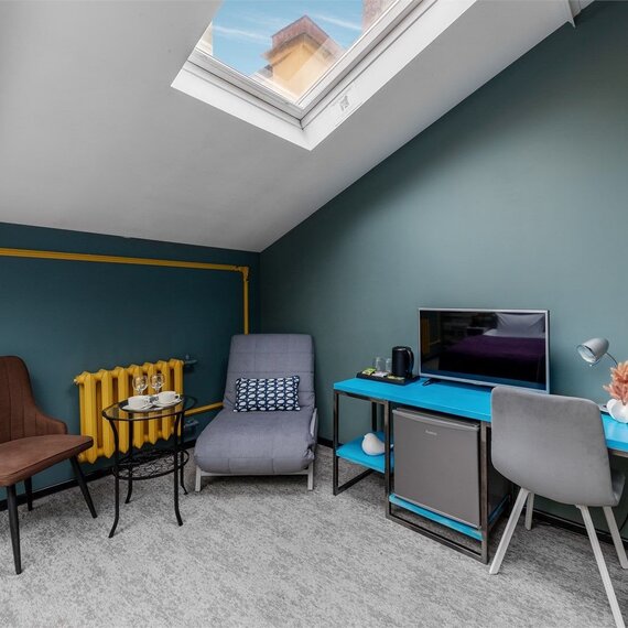 Номер с панорамными окнами SKY VIEW. Фото 16