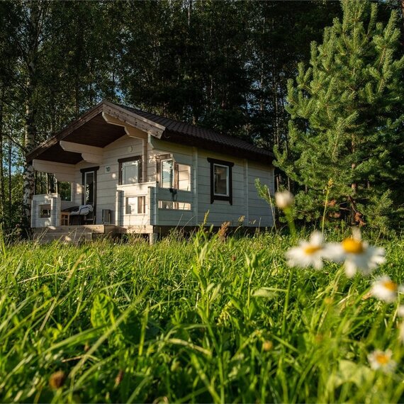 Белая дача. Фото 13