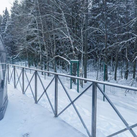 Сфера шатер. Фото 8
