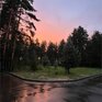 Вино и Сосны - Превью 25