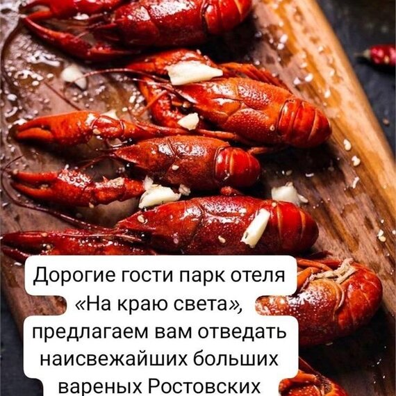 Глэмпинг На краю света. Фото 14