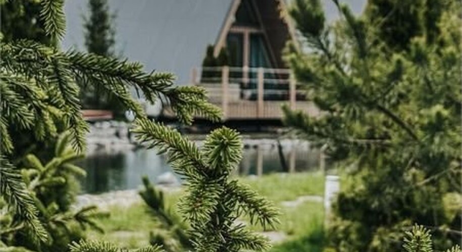 The Les - Фото 6