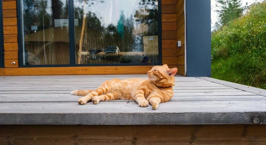 Lucky Glamping - Фото 11