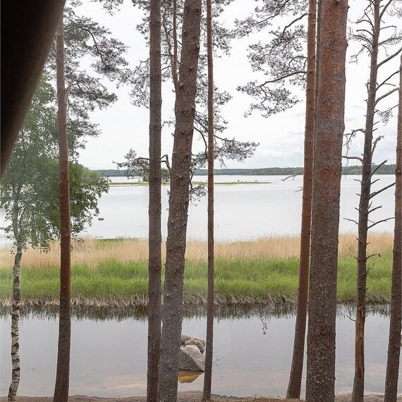 VIP Коттедж Forest  с сауной. Фото 20