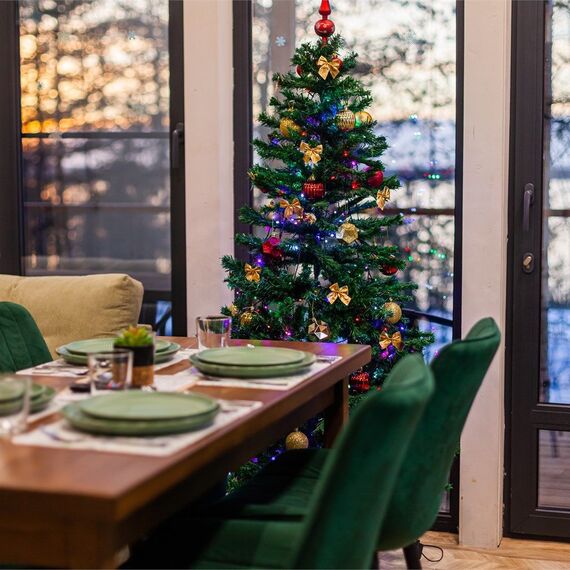 Номер «Березовая роща». Фото 31