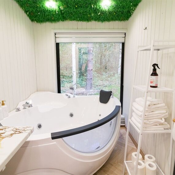 Номер с джакузи «Могучая ель». Фото 19