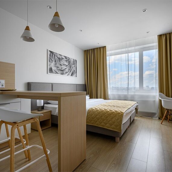 Стандарт с видом на Остров Мечты (Технопарк). Фото 3