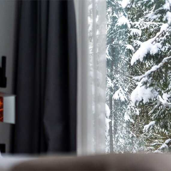 Дом для 2 - 4 гостей без купели. Фото 30